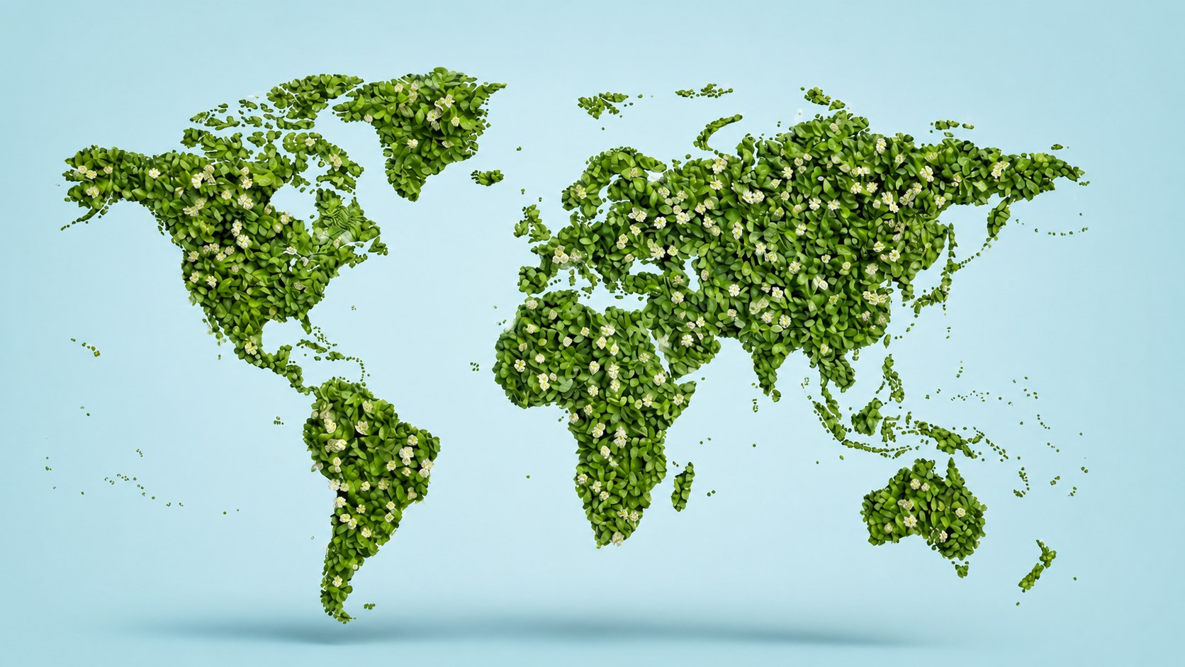 Nutriland global network map