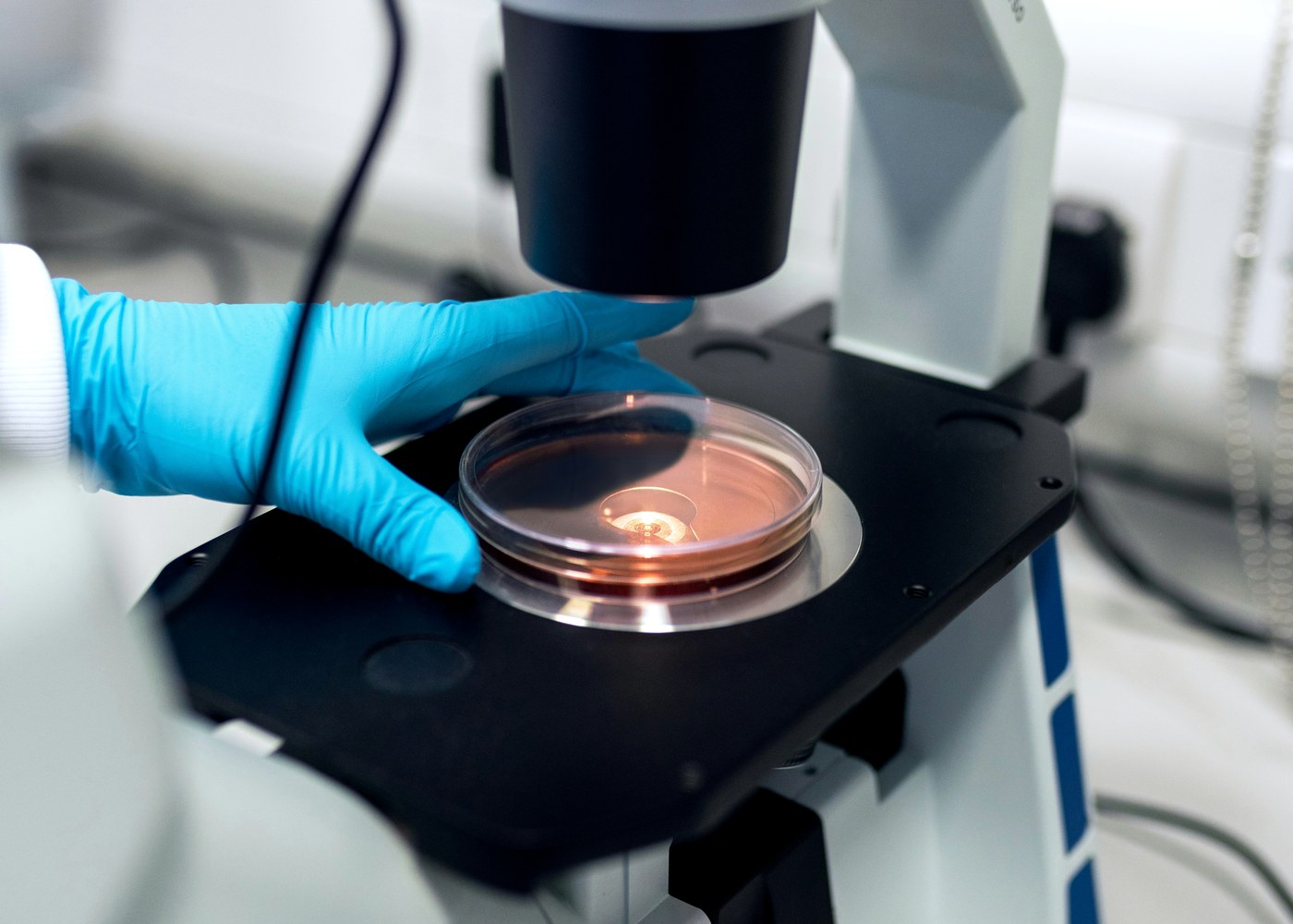 Science and innovation
